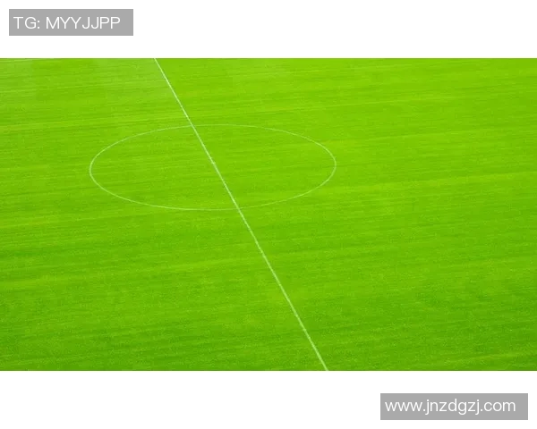 中国与马尔代夫足球赛场地分析及其对比赛结果的影响探讨