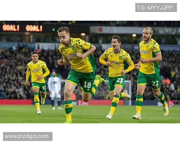 维拉与诺维奇对决前瞻分析及胜负预测解析